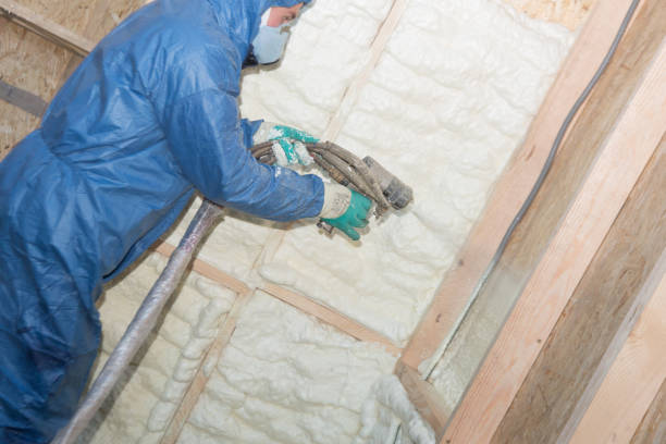 Types of Insulation We Offer in Paoli, PA